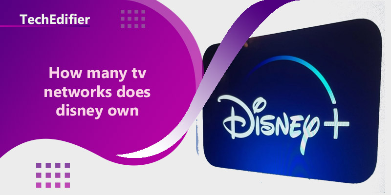 How many tv networks does disney own